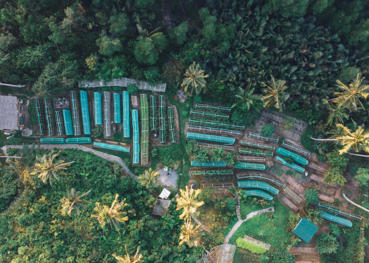 Ocean Green Eco Lodge Puerto Princesa ภายนอก รูปภาพ