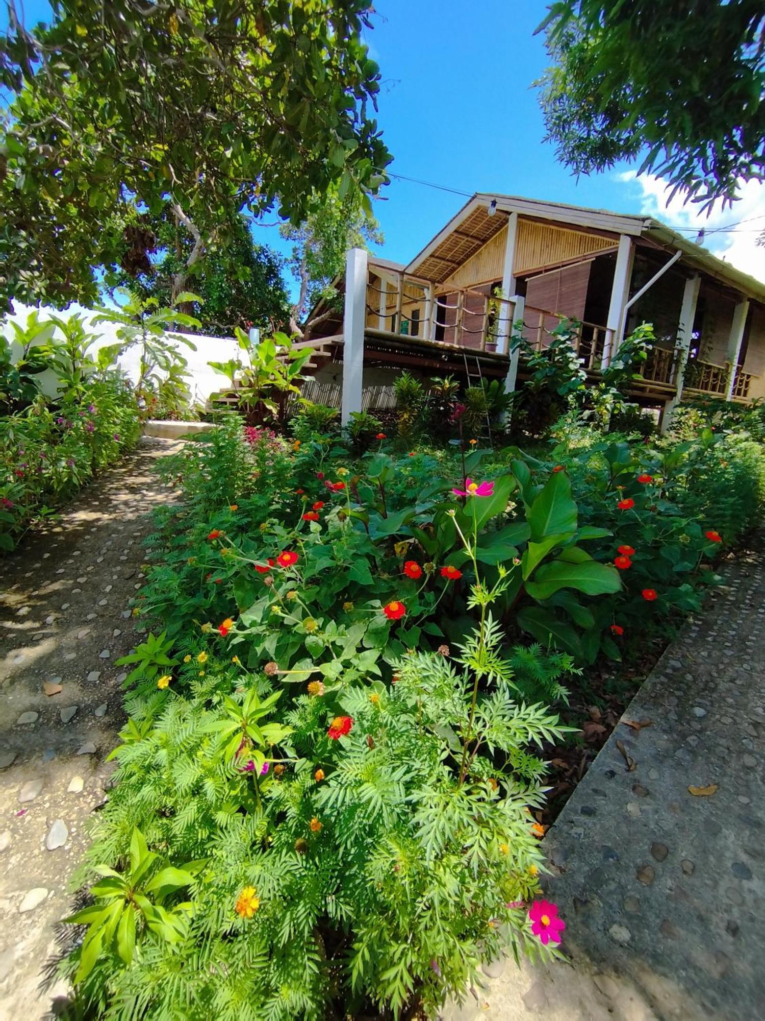 Ocean Green Eco Lodge Puerto Princesa ภายนอก รูปภาพ
