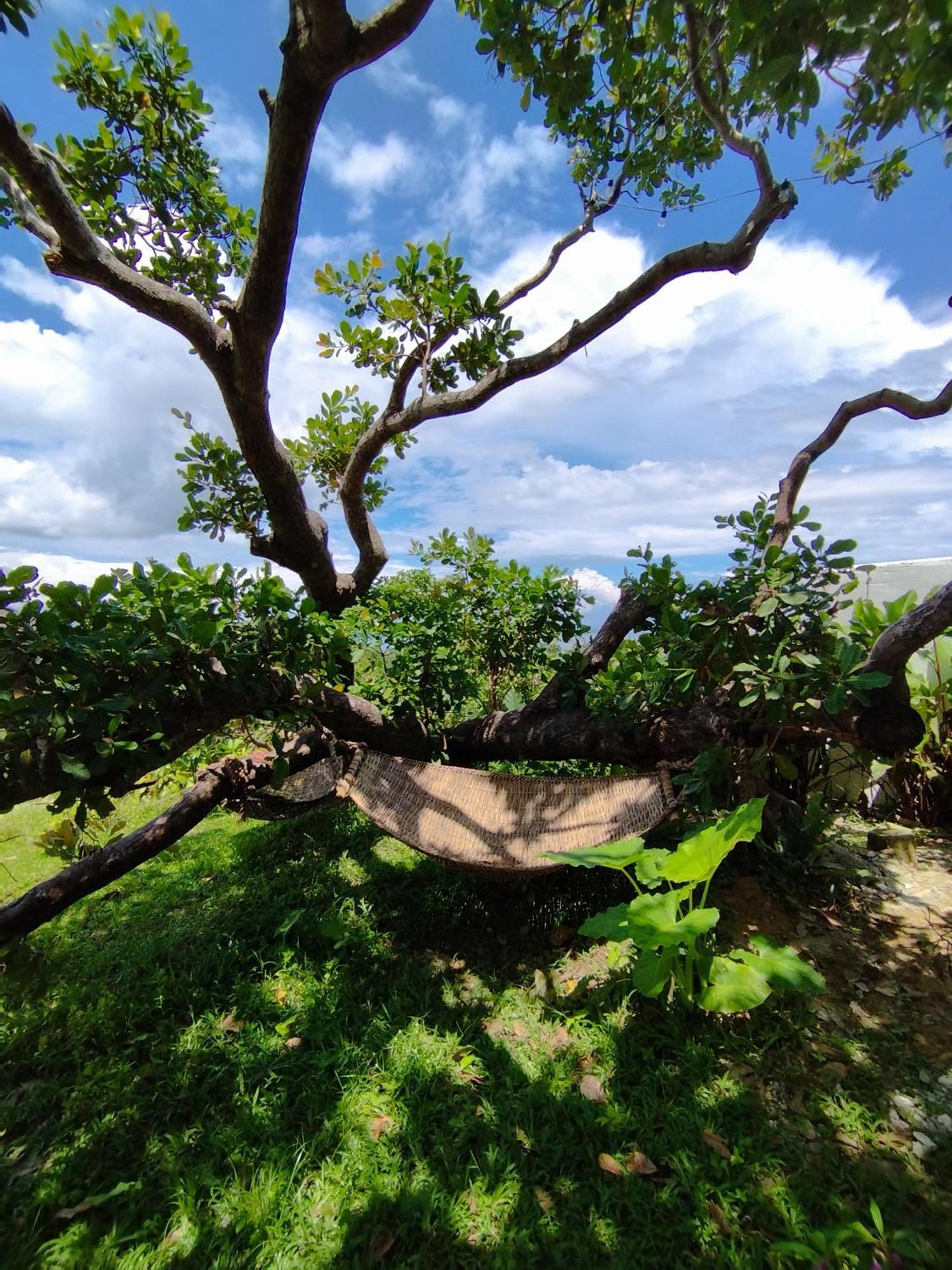 Ocean Green Eco Lodge Puerto Princesa ภายนอก รูปภาพ