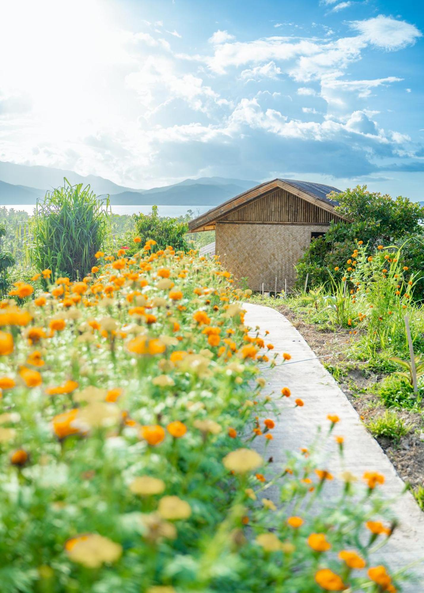 Ocean Green Eco Lodge Puerto Princesa ภายนอก รูปภาพ